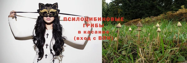 ECSTASY Абинск