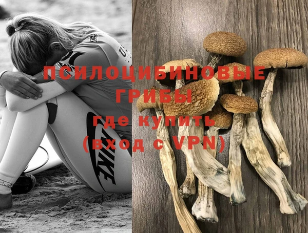 метамфетамин Алексеевка