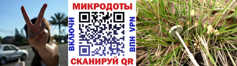 Псилоцибиновые грибы Psilocybine cubensis  цены наркотик  shop как зайти  Юрга 